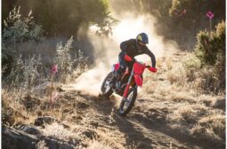 CRF450RX full